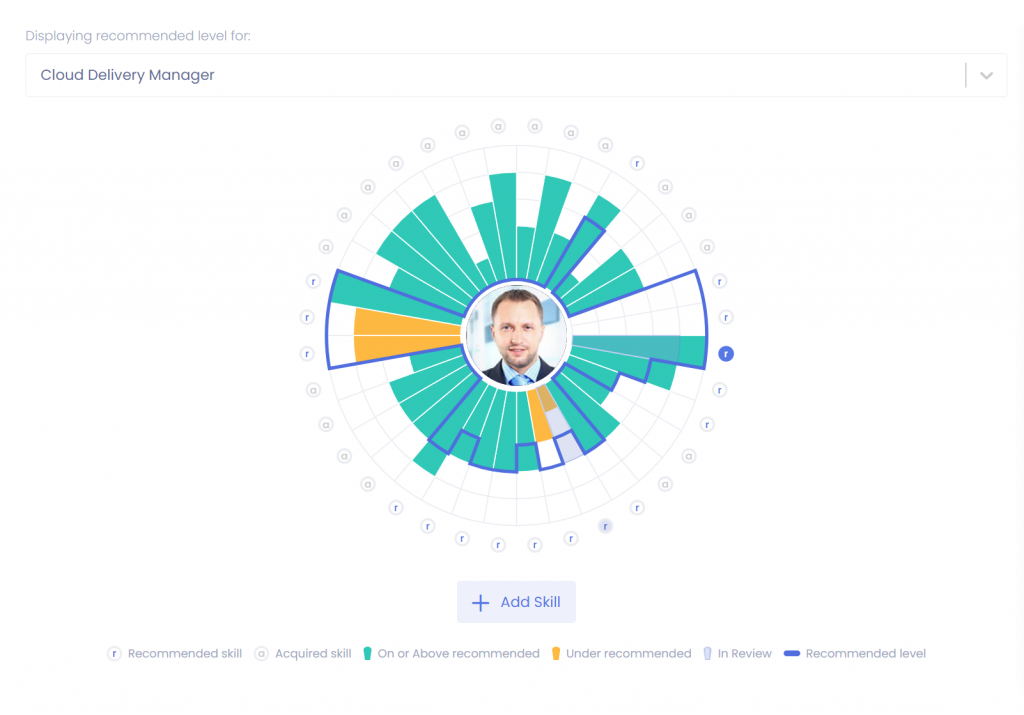 Nestor skills profile: Cloud Delivery Manager skills dashboard
