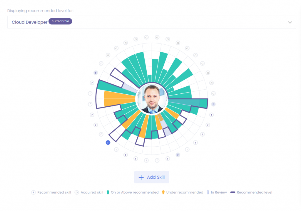Nestor skills profile: Cloud Developer skills dashboard