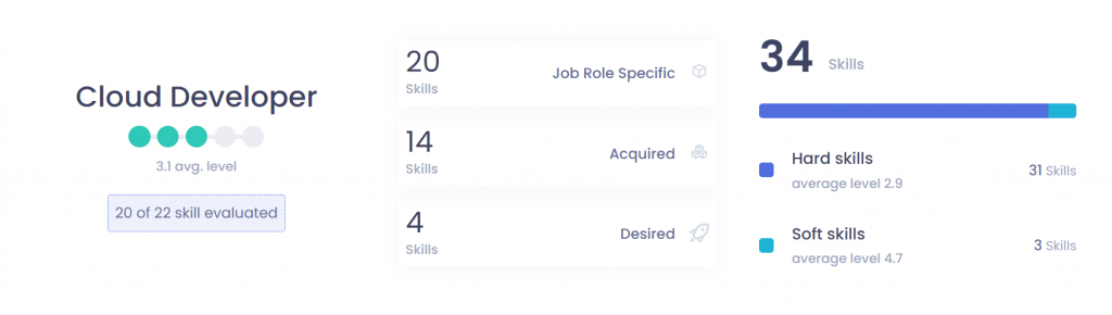 Nestor skills profile: skills overview section